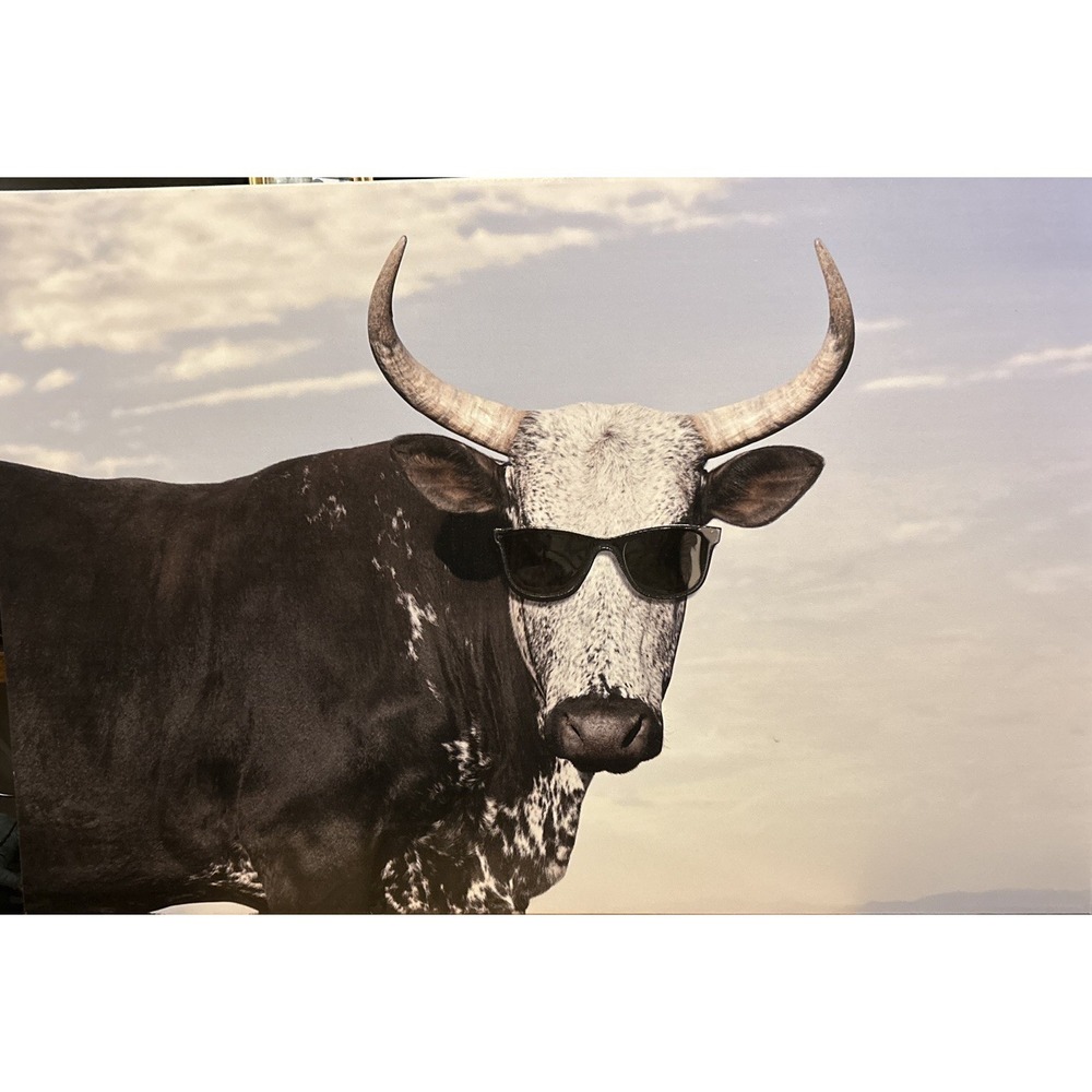 Nguni Ox Wearing Ray Ban Shades Art‎ The Spring Shop 30inX20in 5628615
